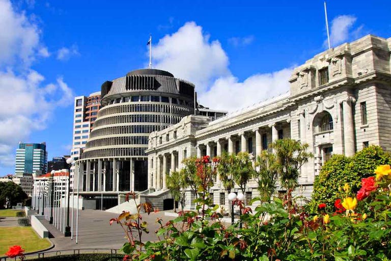 The Beehive & Parliament Buildings with spring roses in foreground, Wellington