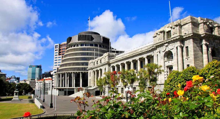 The Beehive & Parliament Buildings with spring roses in foreground, Wellington