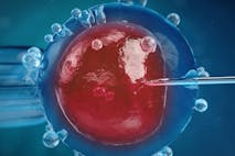 Photo: Shutterstock IVF