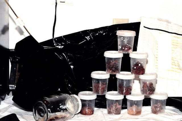 Image: Suction abortion containers
