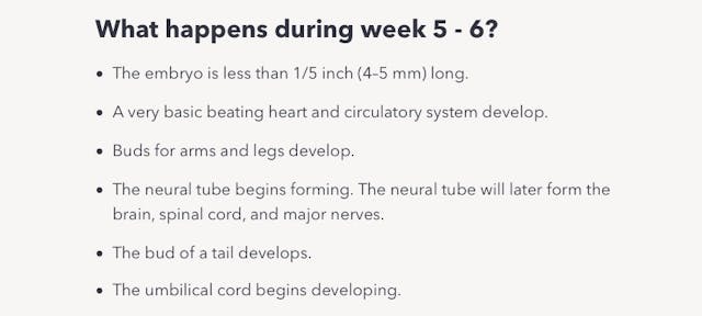 Supporting abortion in the first trimester is not pro-life image
