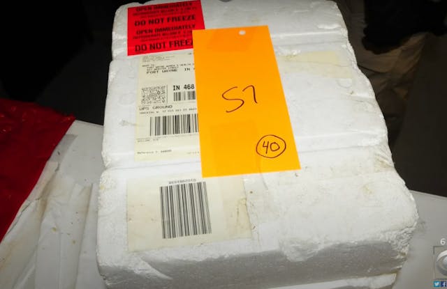 POLICE PHOTOS: How abortionist Ulrich Klopfer hoarded thousands of aborted babies’ bodies image