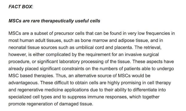 fact box fetal tissue stem cells
