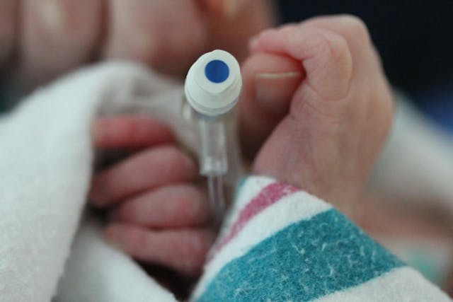 12046633_1151131111583068_5749283297344496560_n