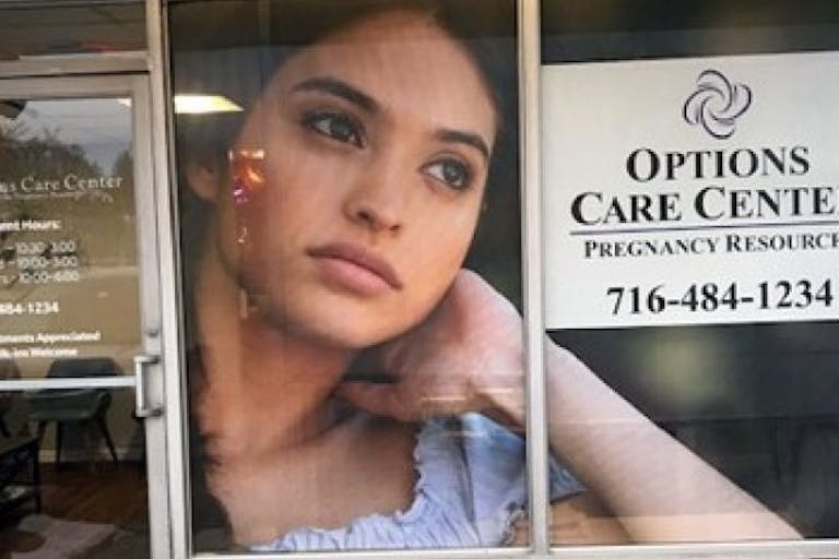 PHN options pregnancy care NY