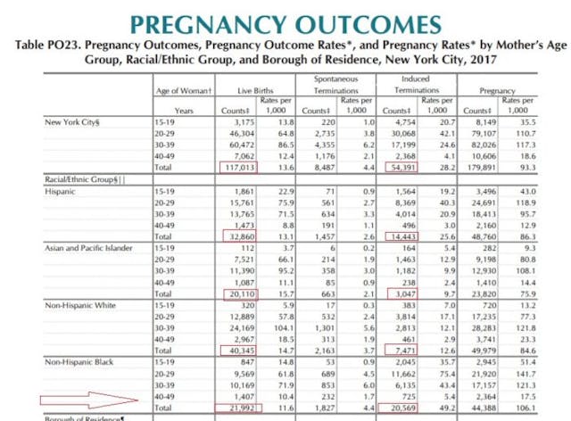 Image: Live births v Abortions reported for New York City in 2017 ( Graph: NYC DOH)