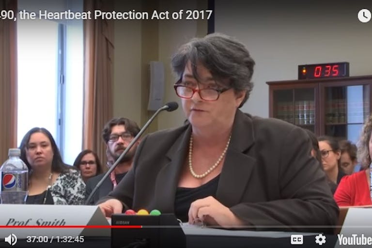 Prof Priscilla Smith testifies HR490 Heartbeat abortion bill Pro-abortion professor testifies against Heartbeat Bill using bogus, debunked abortion statistics image