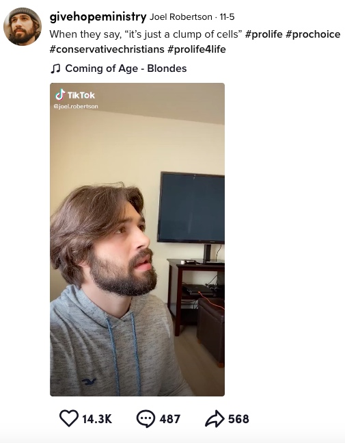 WATCH: 7 pro-life TikToks that show the value of preborn human beings image