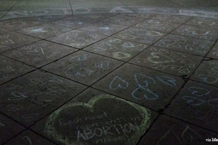 utah state university