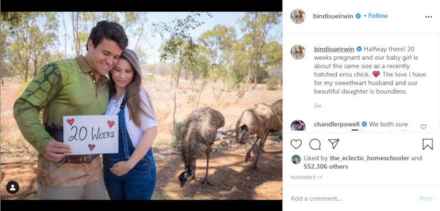 Bindi Irwin shares ultrasound of daughter: ‘You can see her heartbeat. She is beautiful.’ image