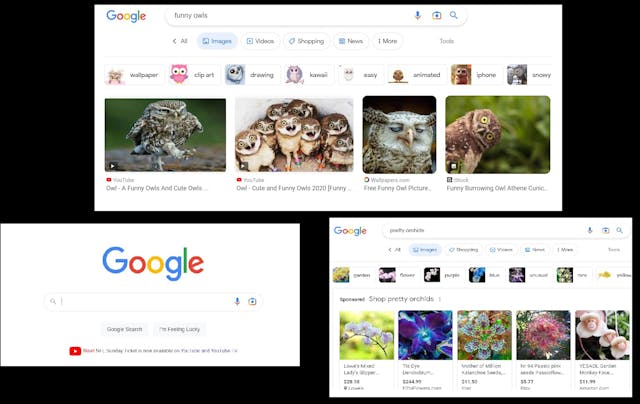 Abortion website quick exit button redirects browsers to Google searches Image: Abortion website quick exit button redirects browsers to Google searches
