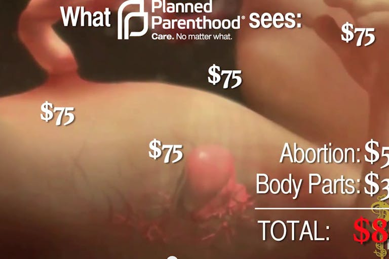 Screen Shot 2015-07-28 at 1.15.02 PM