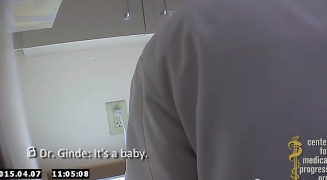 It's a baby, ginde, cmp