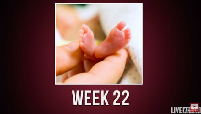 Heartbreaking: Colorado votes down late-term abortion ban image