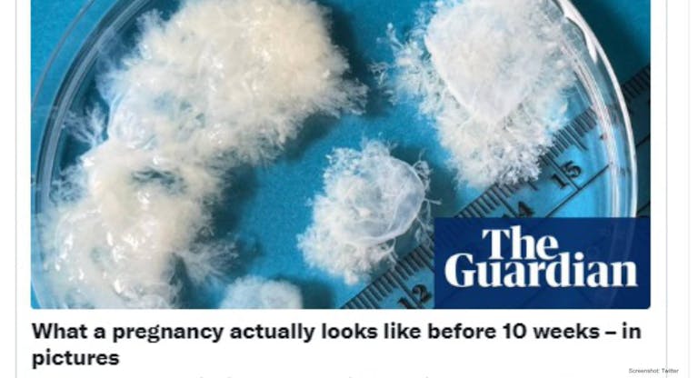 guardian twitter