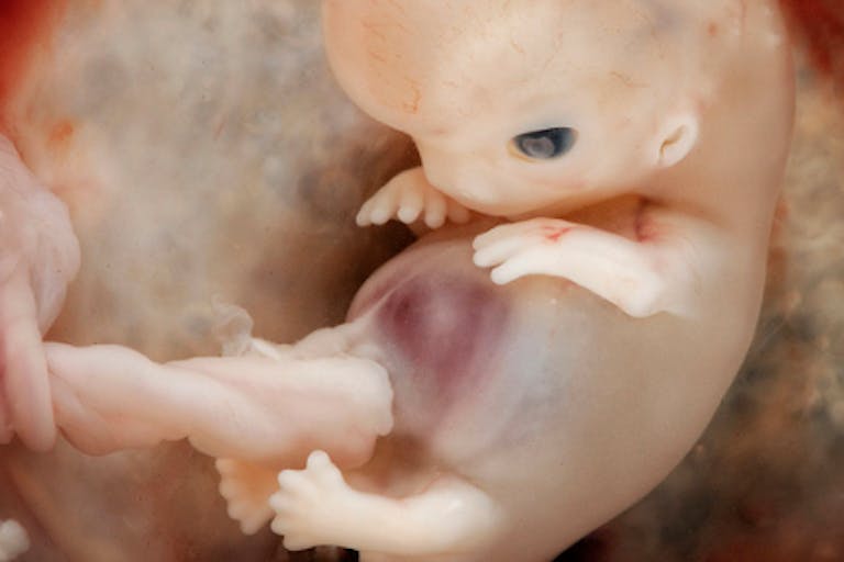 Screen Shot 2017-07-16 at 8.49.32 PM