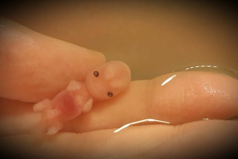 Annabelle in mom’s hand