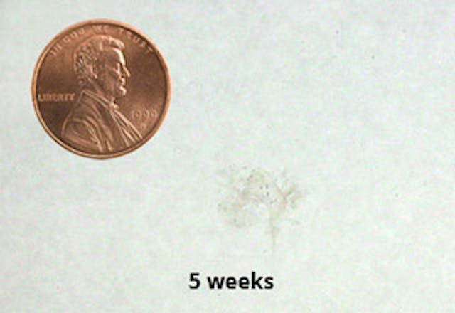 Here’s an abortion facility’s fake drawing of a baby at nine weeks compared to the reality image