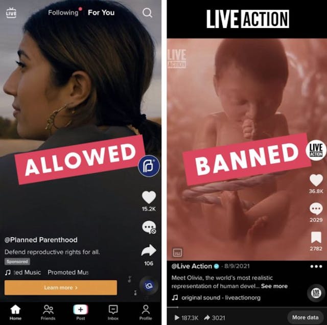 More Big Tech censorship: TikTok blocks Live Action founder’s account image