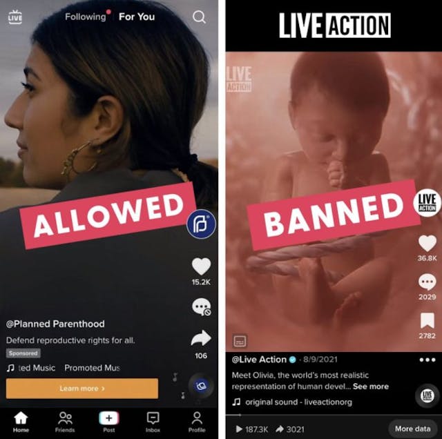 More Big Tech censorship: TikTok blocks Live Action founder’s account image