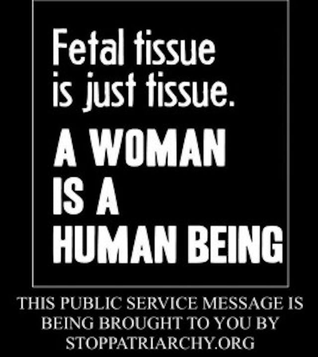 fetal tissue Stop Patriarchy9367182563194_n