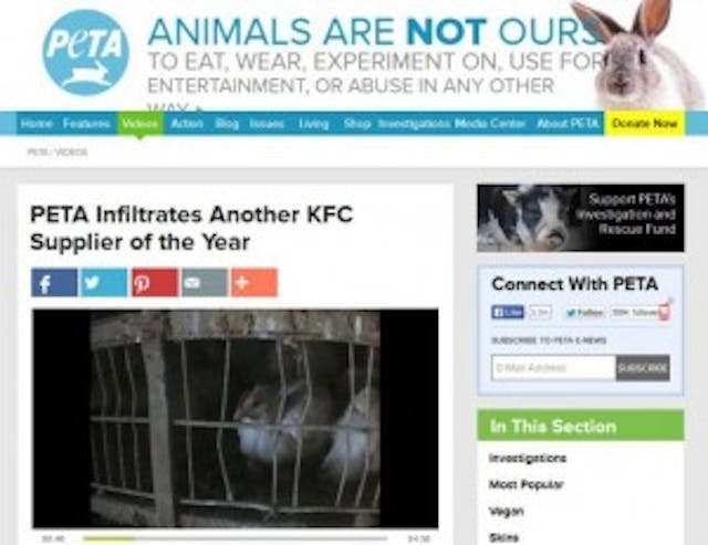 petr-infiltrates-kfc