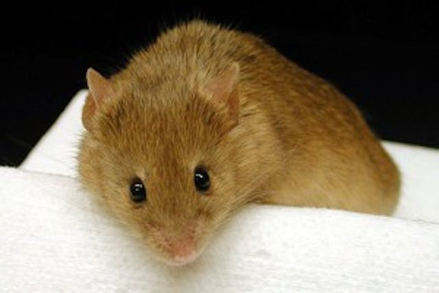 via mcardle.wisc.edu via mcardle.wisc.edu