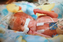 photo_1_a69b7de0fda817371d2338773b64d379.today-inline-large2x