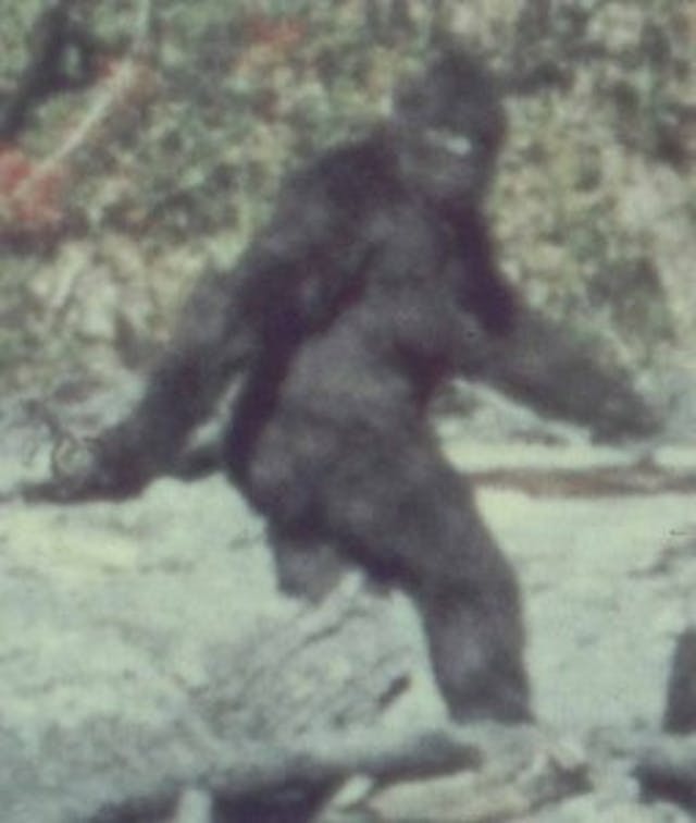 The elusive Bigfoot Bigfoot