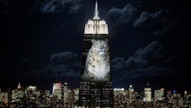 cecil the lion empire state