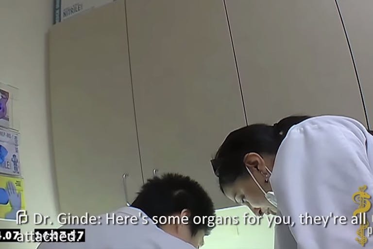 Screen shot 2015-07-30 at 7.06.41 AM