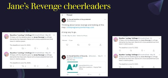 Janes Revenge cheerleaders Image: Janes Revenge cheerleaders