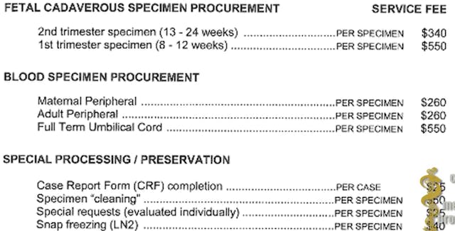 Screen Shot 2015-07-28 at 1.12.25 PM