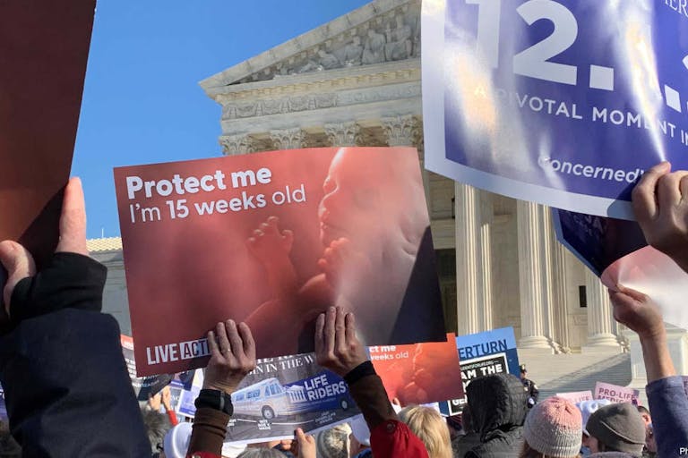 supreme court olivia graphic