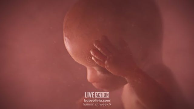 Planned Parenthood’s deception on fetal development countered by ‘Baby Olivia’ image