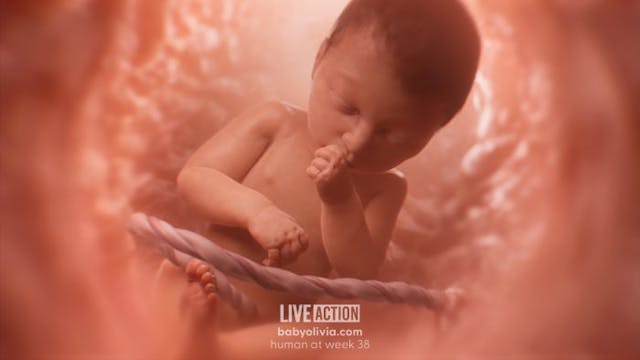 How third trimester babies prepare for the outside world image