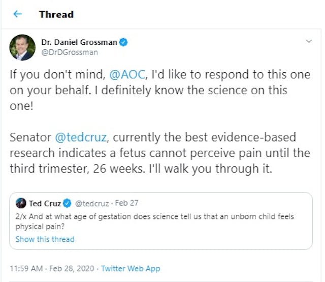 Dr Daniel Grossman on fetal pain to Ted Cruz (Image: Twitter) Image: Dr Daniel Grossman on fetal pain to Ted Cruz (Image: Twitter)
