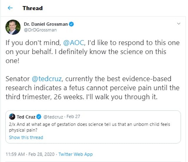 Image: Dr Daniel Grossman on fetal pain to Ted Cruz (Image: Twitter)