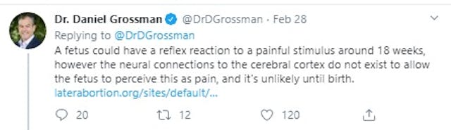Image: Abortionist Daniel Grossman on fetal pain (Image: Twitter)