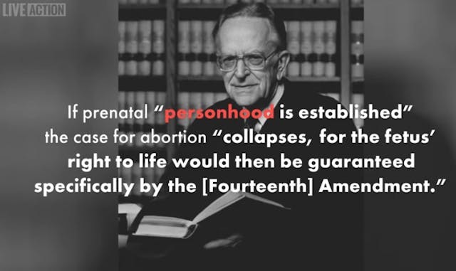 Roe v Wade abortion decision collapses if personhood is established (Image: Live Action video on history of abortion) Image: Roe v Wade abortion decision collapses if personhood is established (Image: Live Action video on history of abortion)