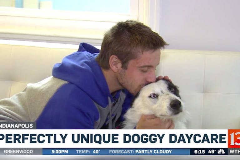 doggy daycare disabilities