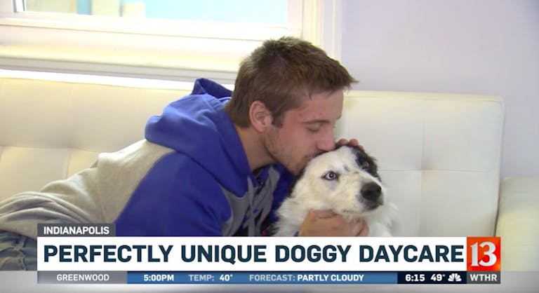 doggy daycare disabilities