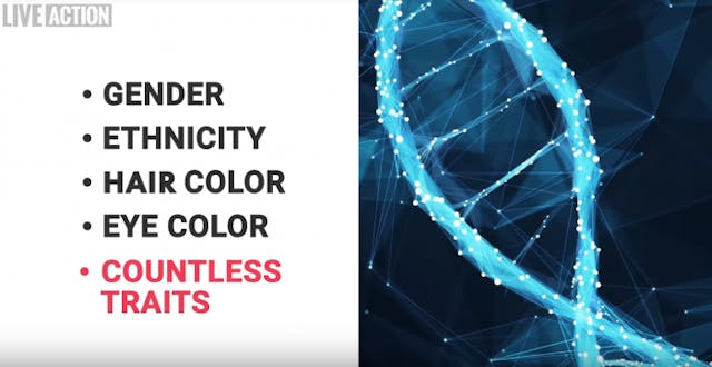 New Live Action video debunks claim, ‘No One Knows When Life Begins’ image