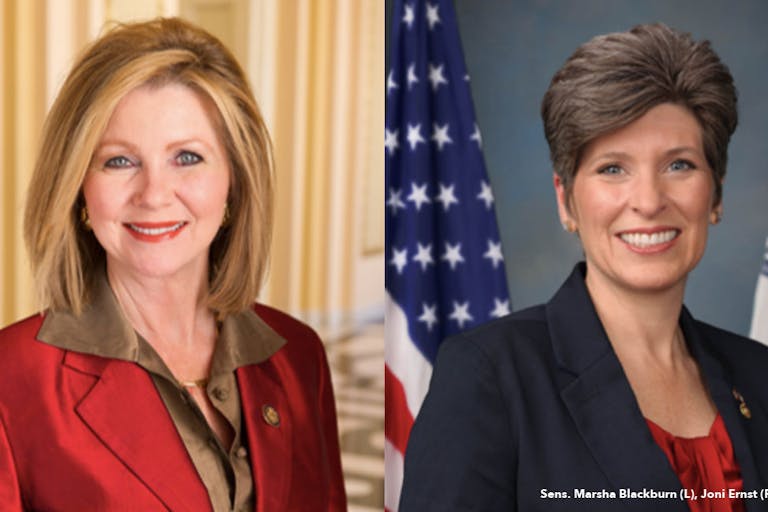 blackburn-and-ernst