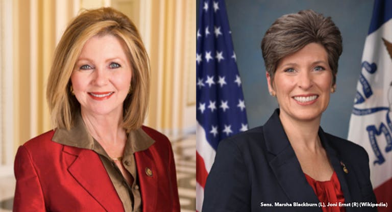 blackburn-and-ernst