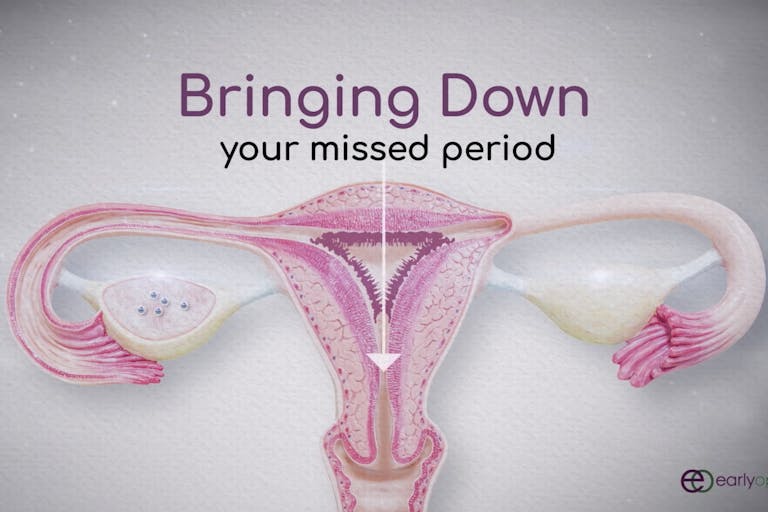 Screen Shot 2018-12-31 at 3.02.17 PM