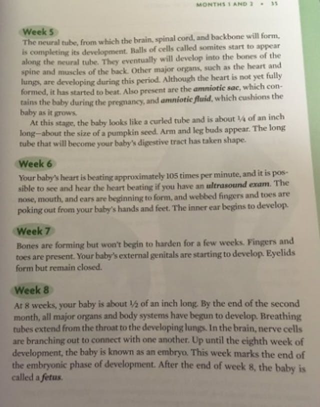 Pregnancy Month to Month Weeks 5 to 8 (Your Pregnancy and Childbirth: ACOG) Image: Pregnancy Month to Month Weeks 5 to 8 (Your Pregnancy and Childbirth: ACOG)