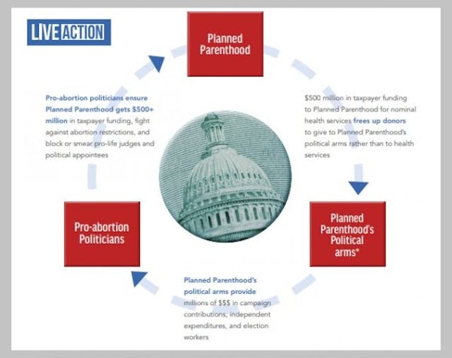 Planned Parenthood political money laundering scheme (Image: Report Live Action) Image: Planned Parenthood political money laundering scheme (Image: Report Live Action)