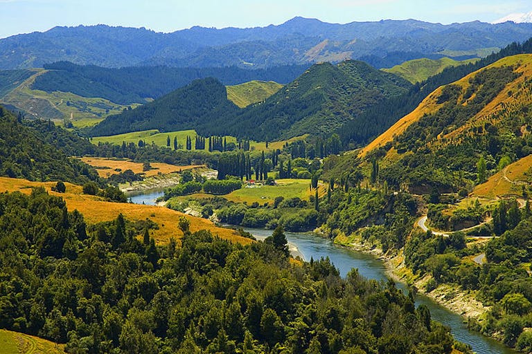 800px-Whanganui_River