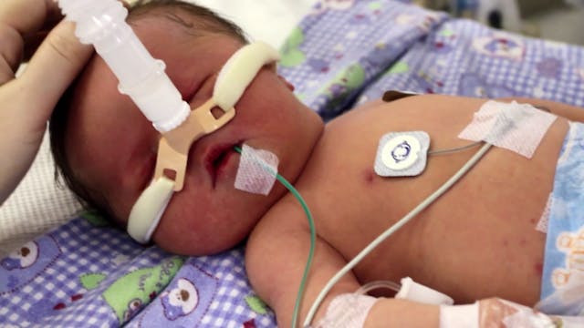 Screenshot of Arlo shortly after birth. Screenshot of Arlo shortly after birth.